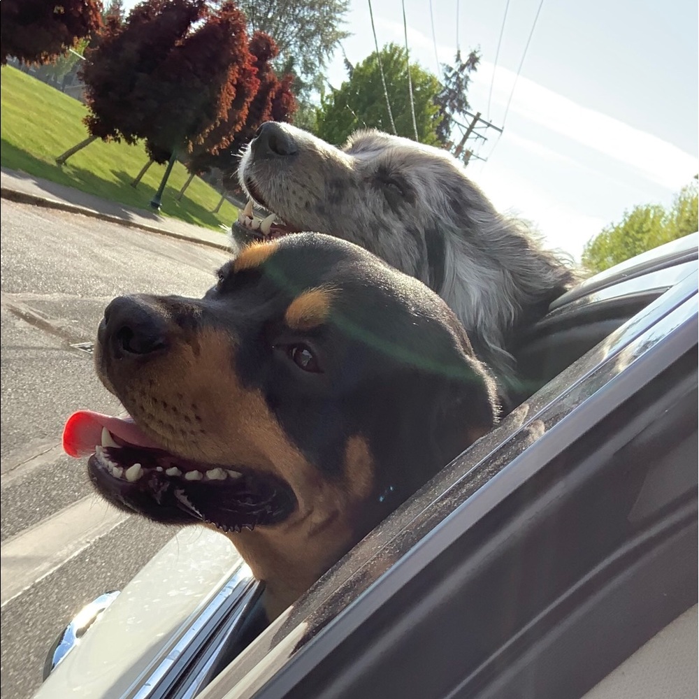 Meet your Posher, Shaliyah